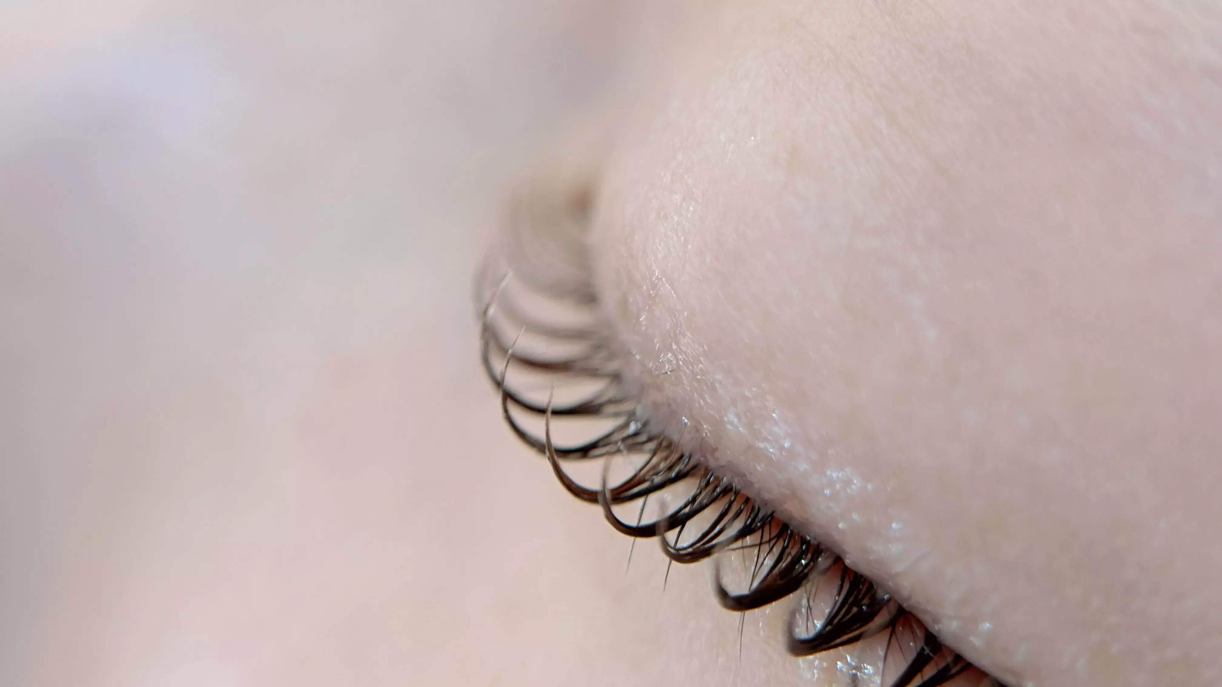 Anyconv.com Img 3411